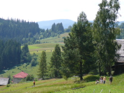 Image lomn 037
