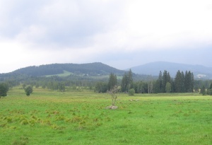 sumava