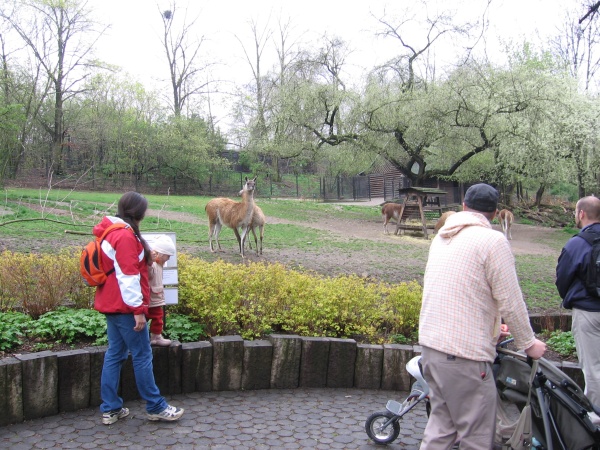 zoo zoo