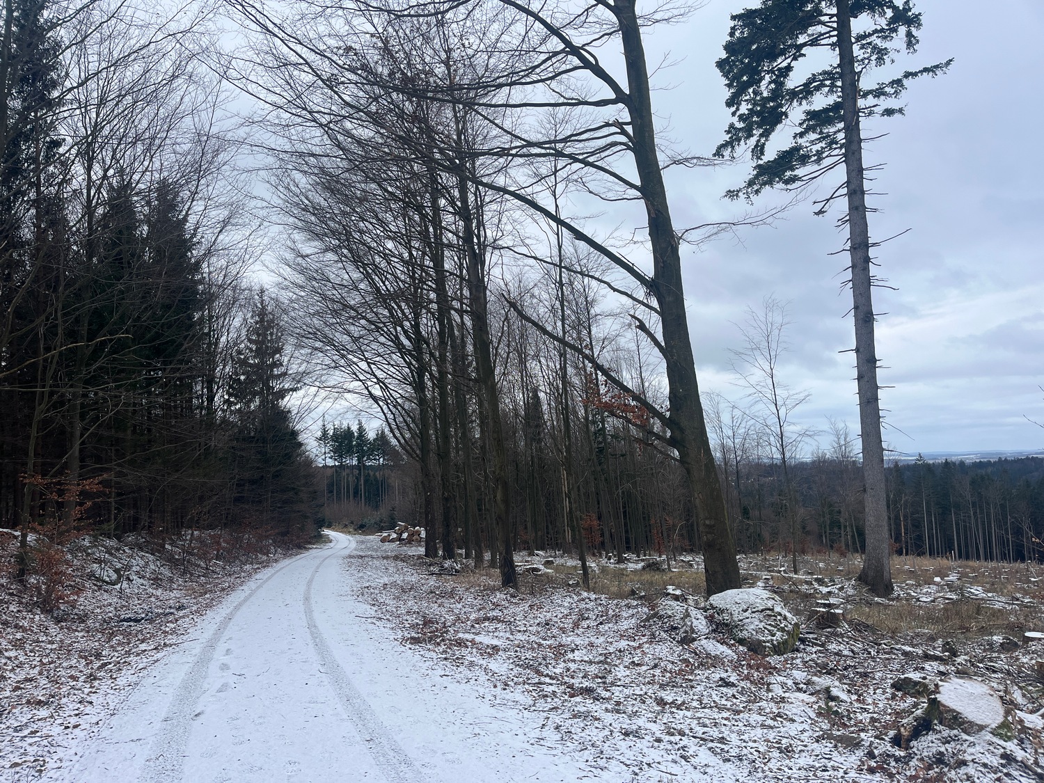 Kremesnik 01