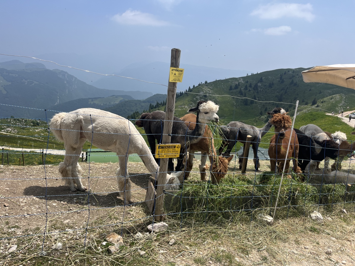 Itálie Dolomity 03